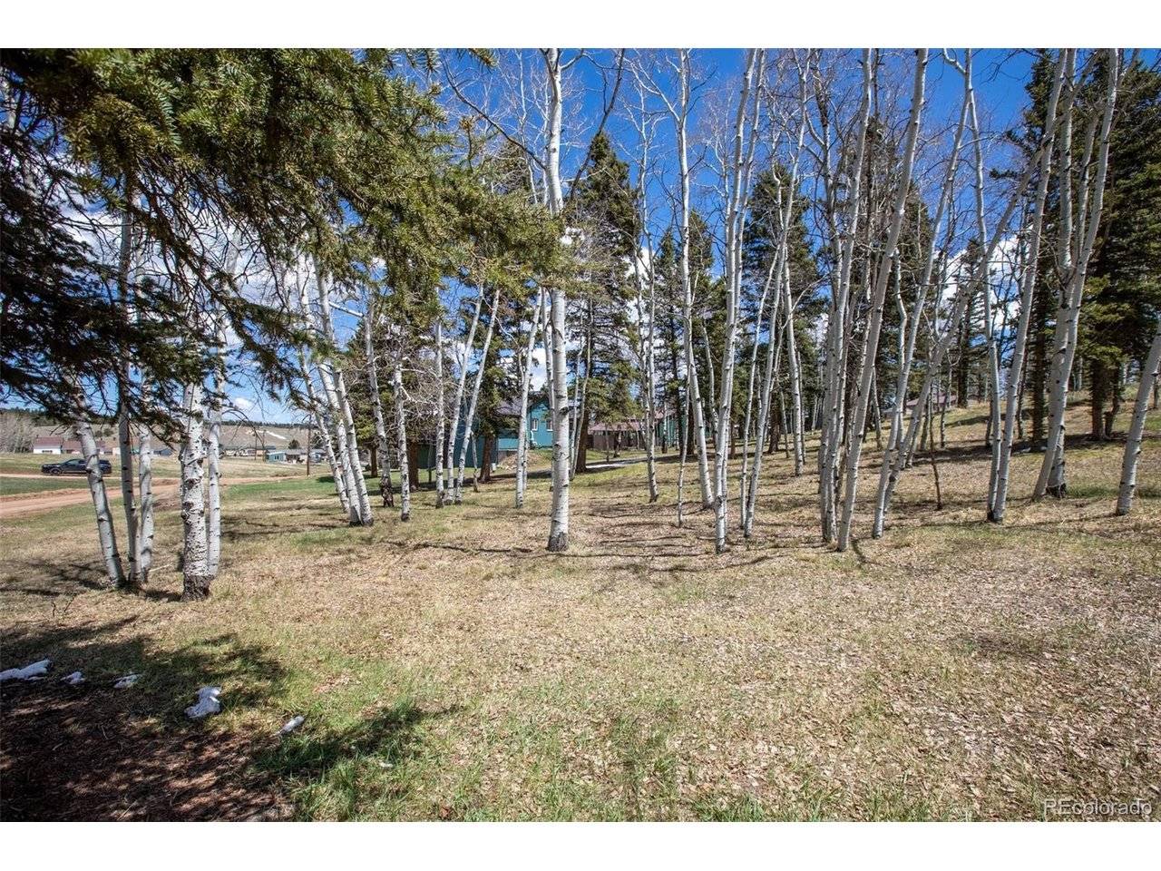 571 Will Scarlet, Divide, CO 80814
