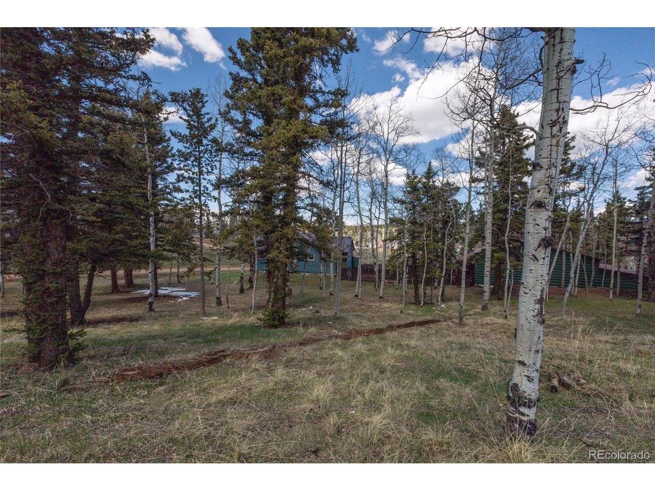 571 Will Scarlet, Divide, CO 80814