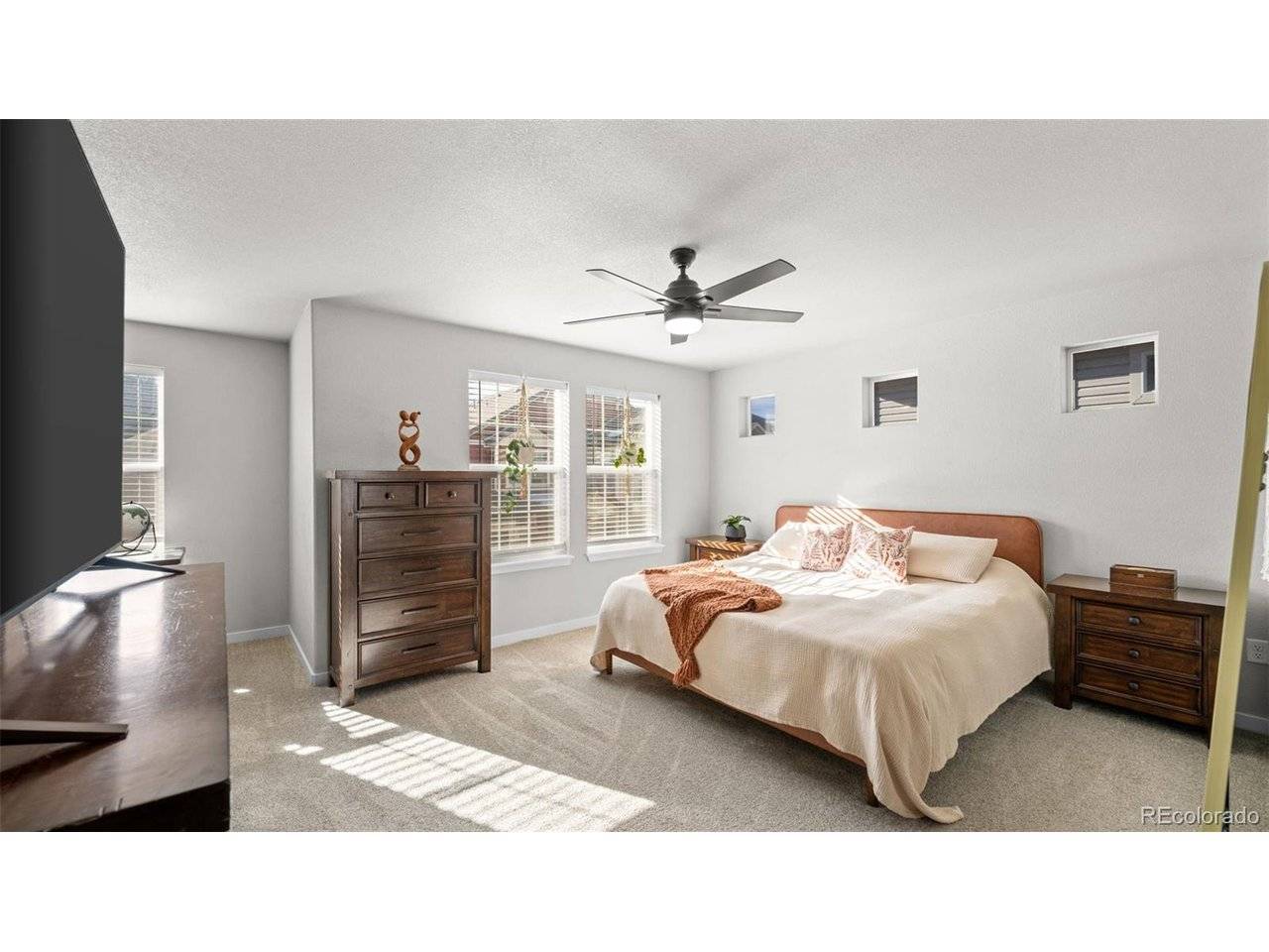 9443 Cashel, Colorado Springs, CO 80927
