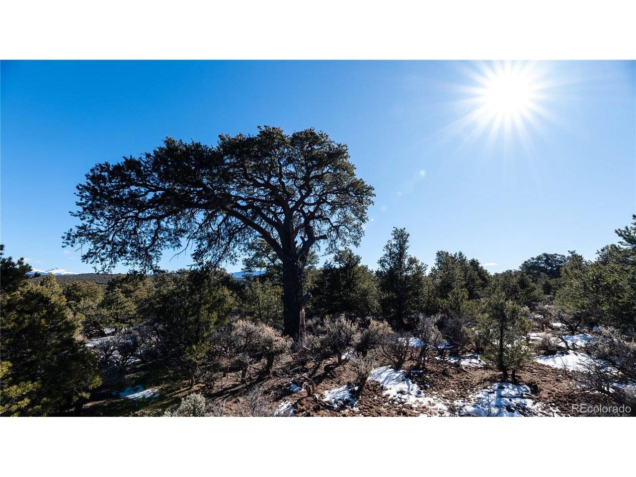 90 Elk Park, San Luis, CO 81152