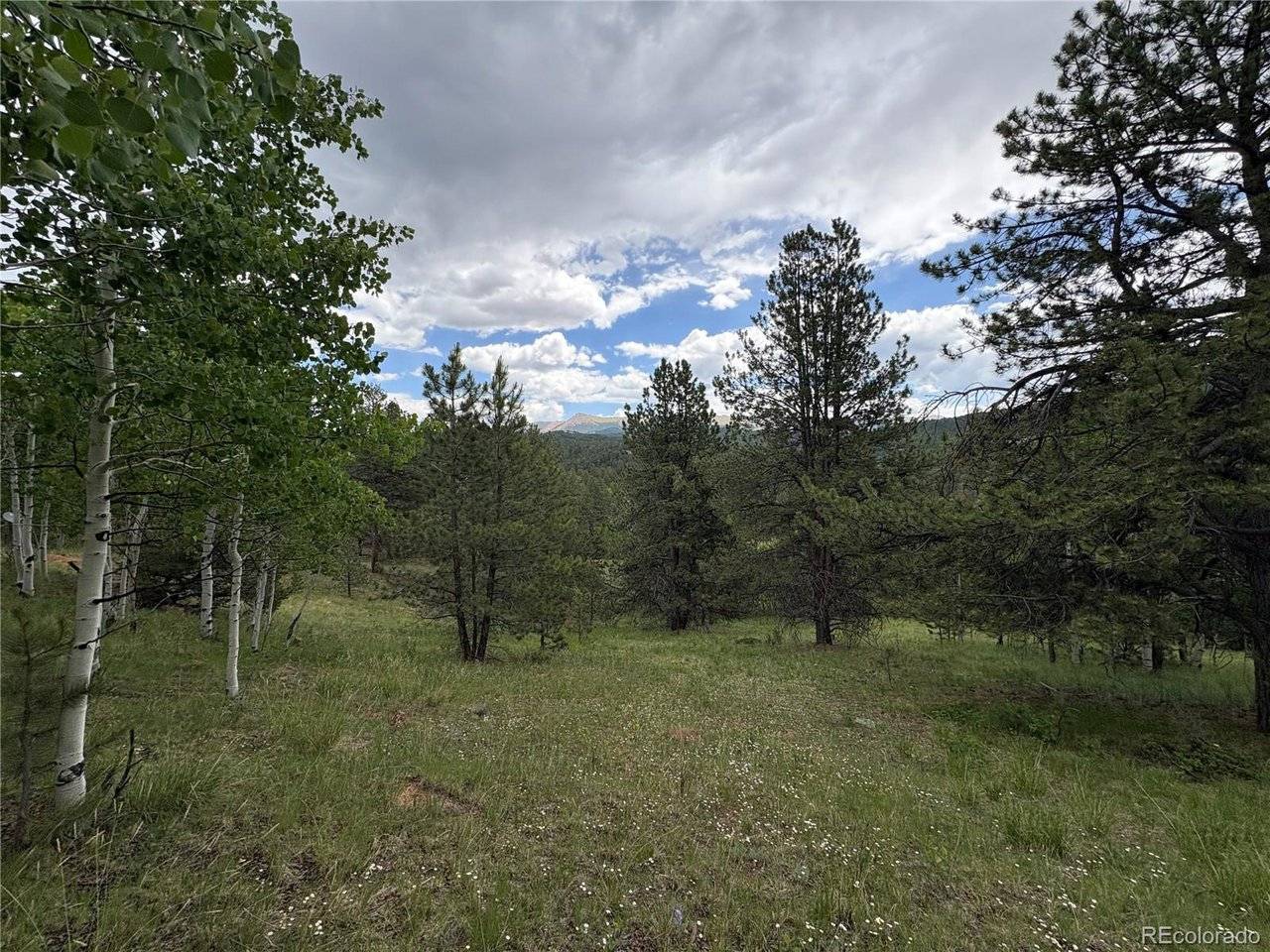 532 May Queen, Cripple Creek, CO 80813