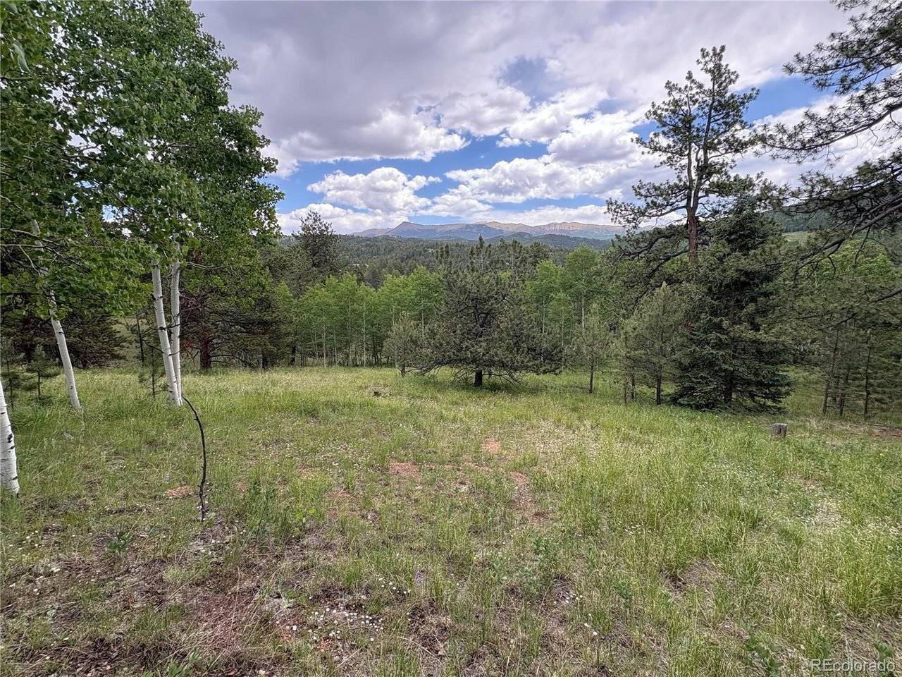 532 May Queen, Cripple Creek, CO 80813