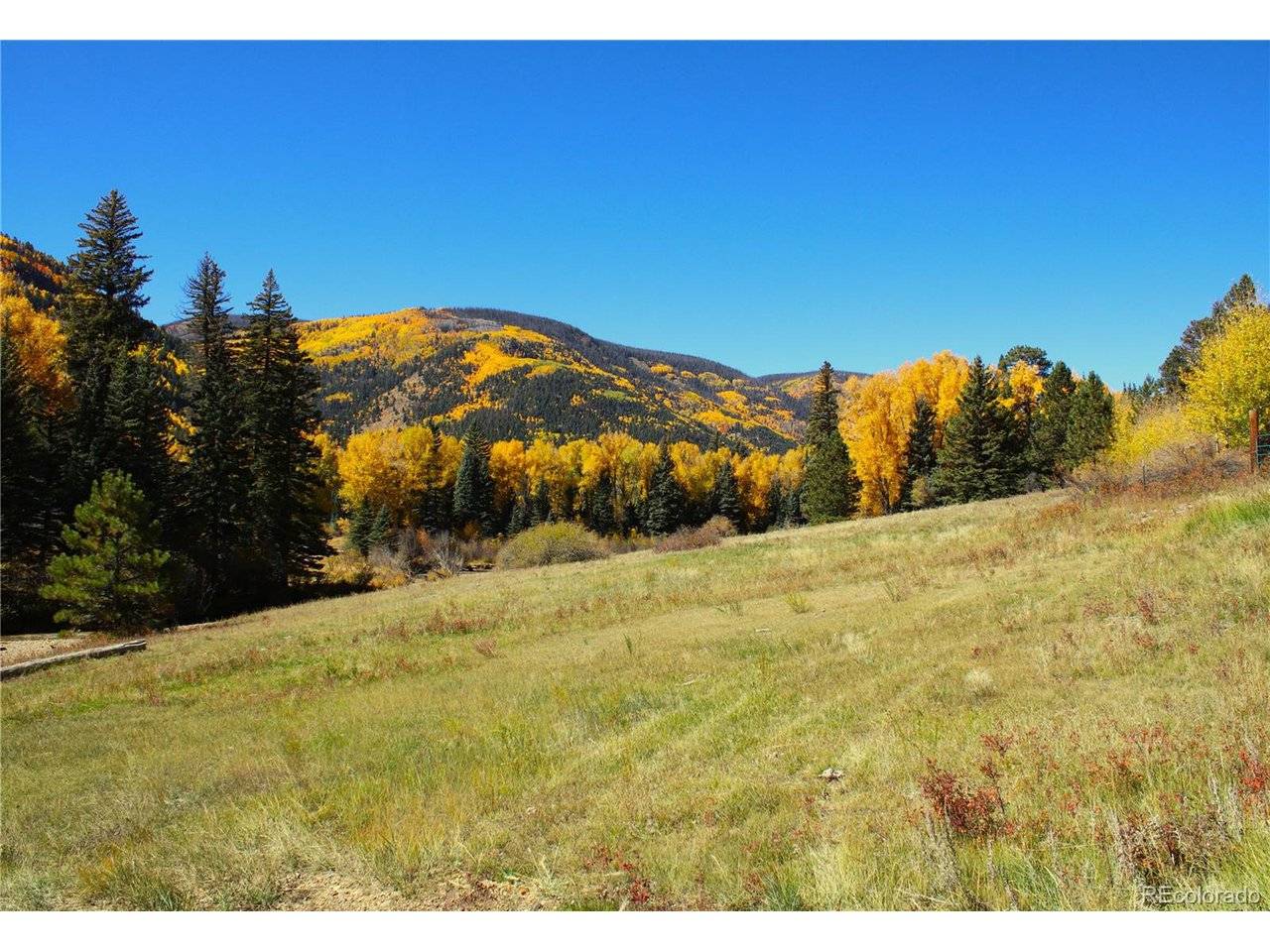 Address not disclosed, Antonito, CO 81120
