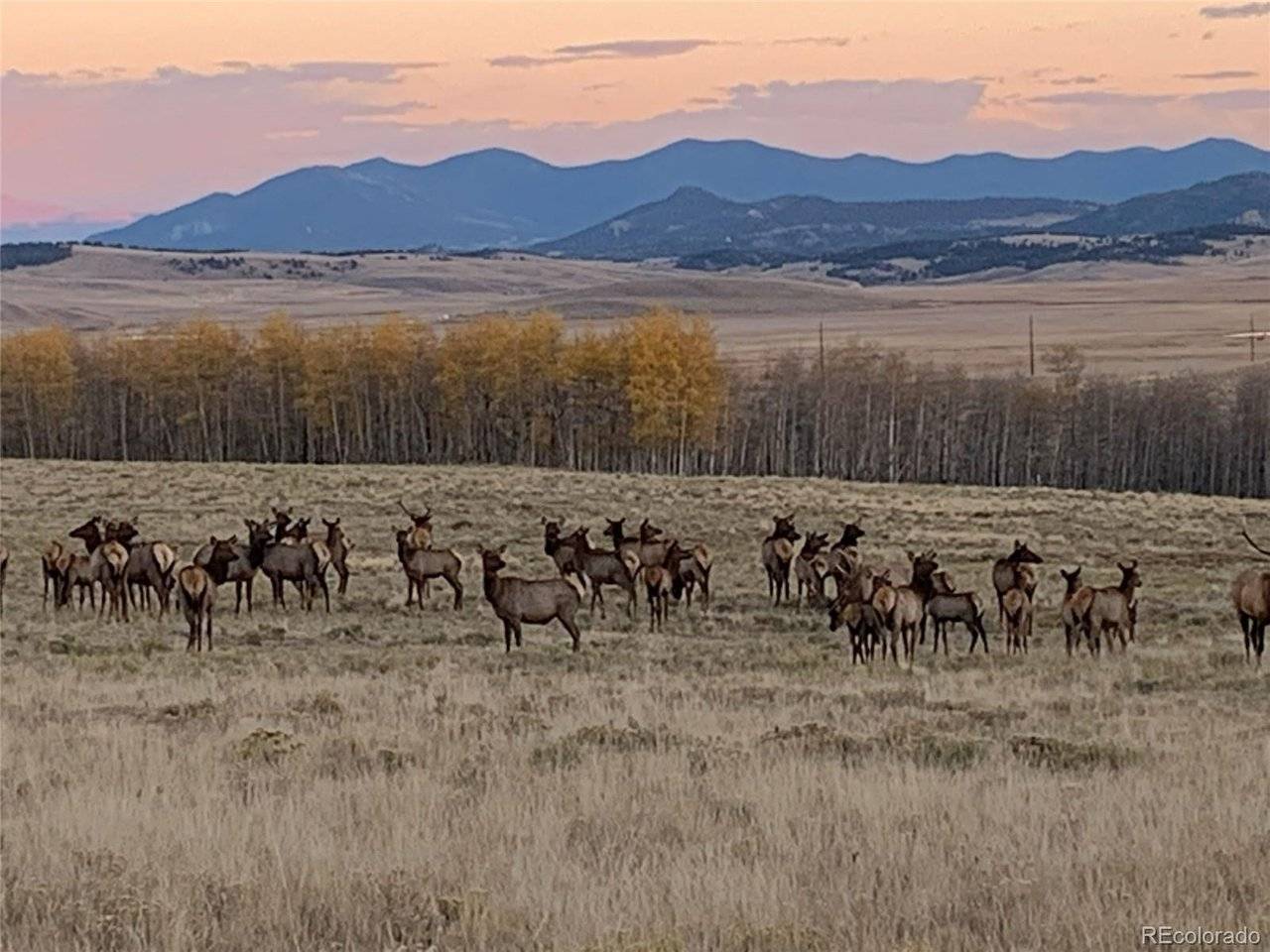Michigan Hill, Jefferson, CO 80456
