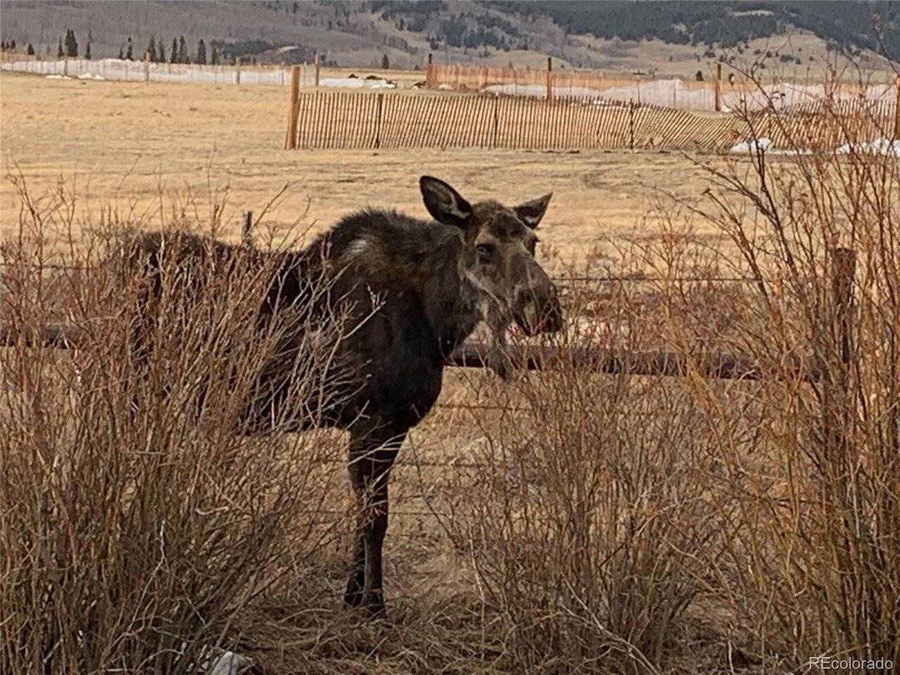 Michigan Hill, Jefferson, CO 80456