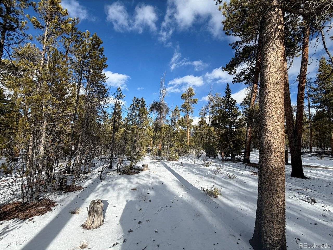 379 Peak View, Leadville, CO 80461