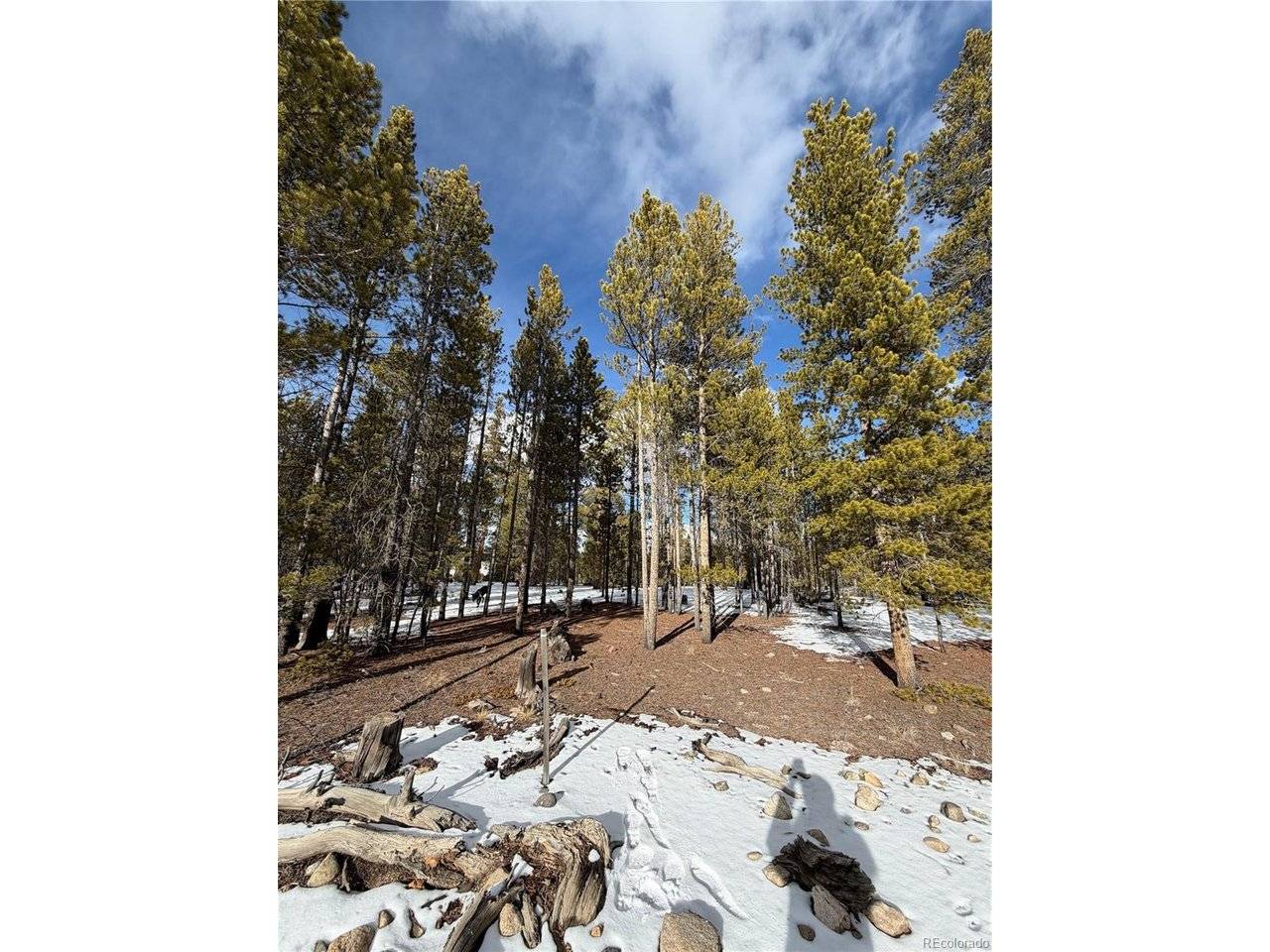 379 Peak View, Leadville, CO 80461