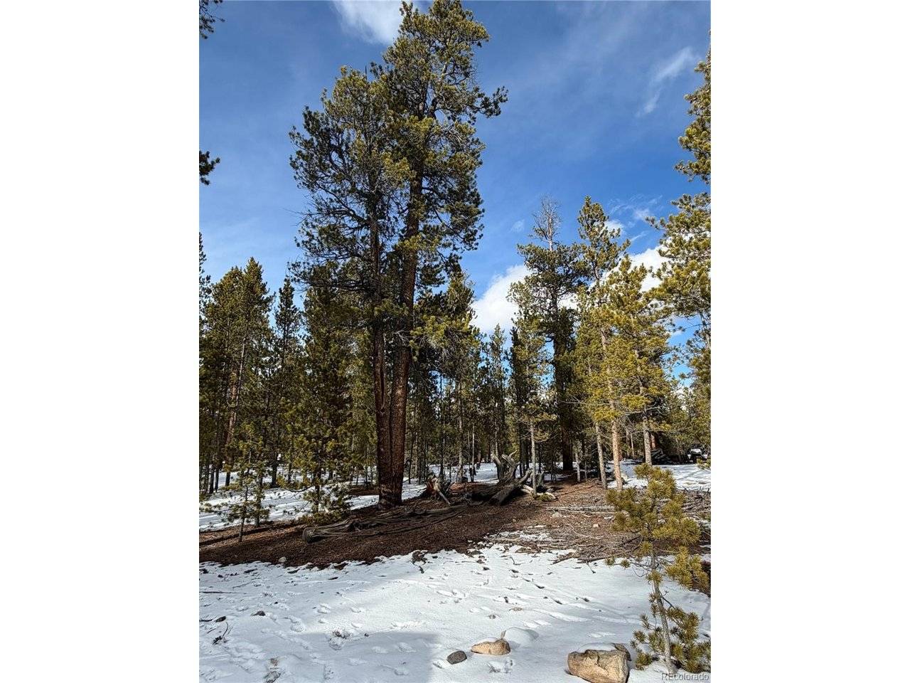 379 Peak View, Leadville, CO 80461