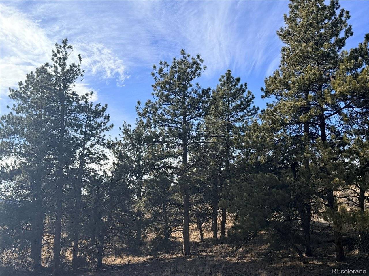 729 Bridle, Hartsel, CO 80449