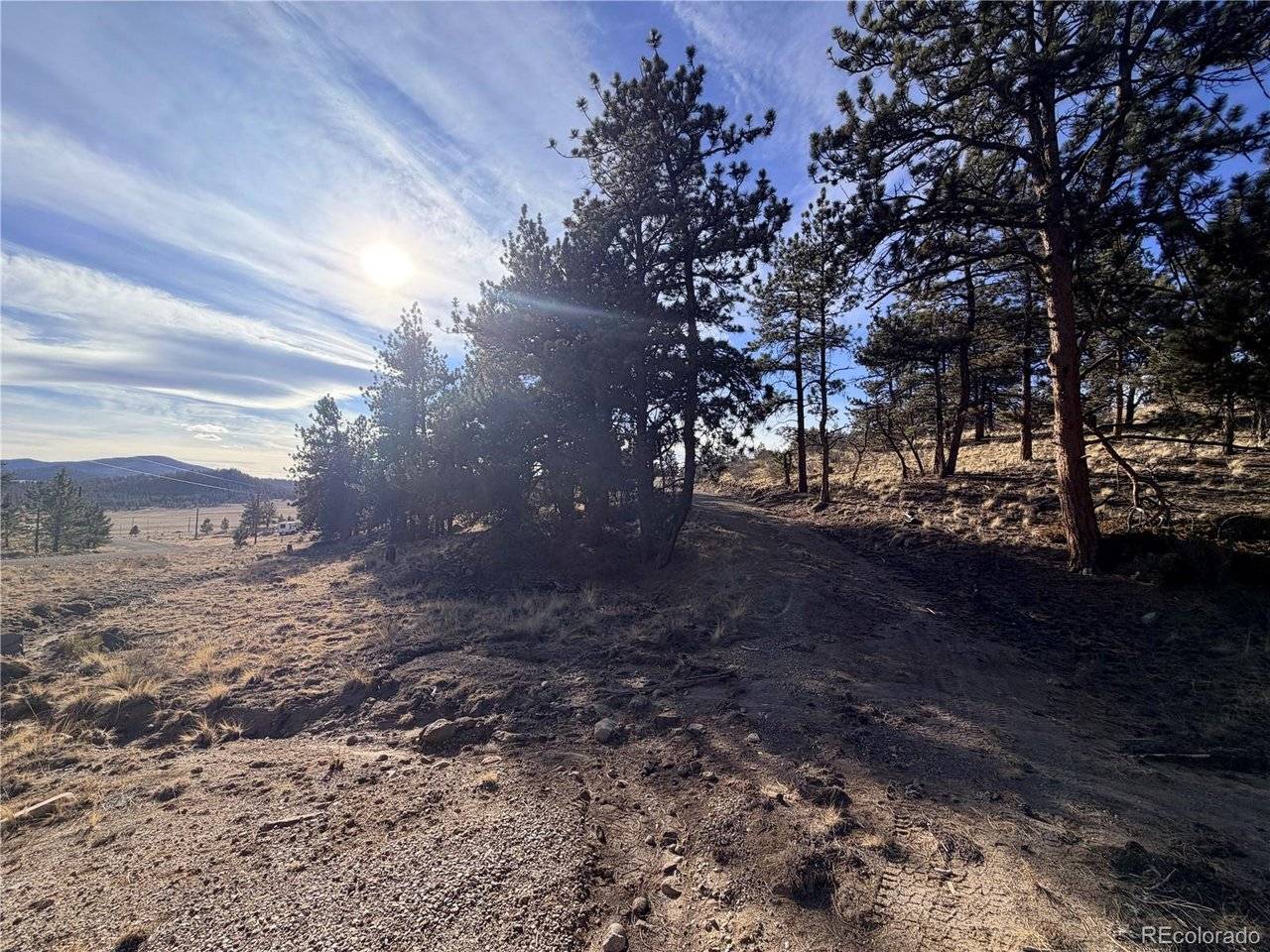 729 Bridle, Hartsel, CO 80449