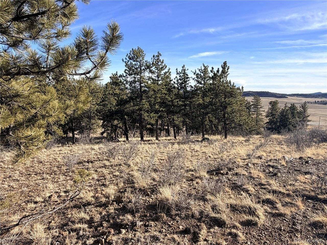 729 Bridle, Hartsel, CO 80449