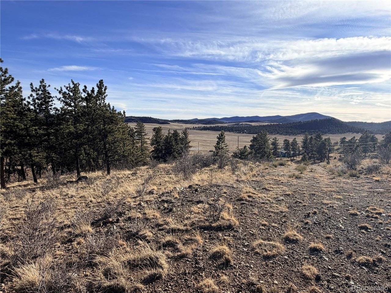 729 Bridle, Hartsel, CO 80449
