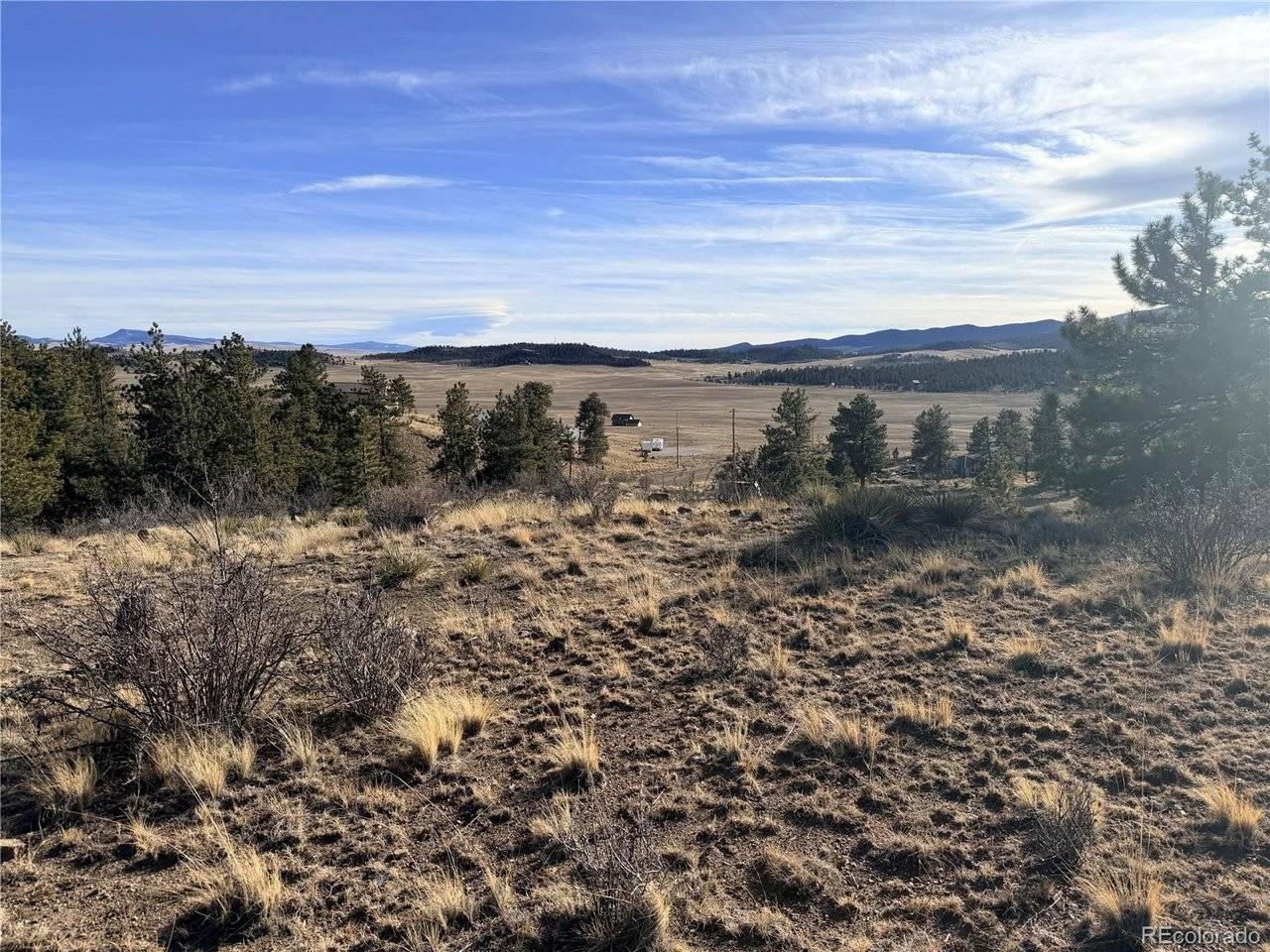 729 Bridle, Hartsel, CO 80449
