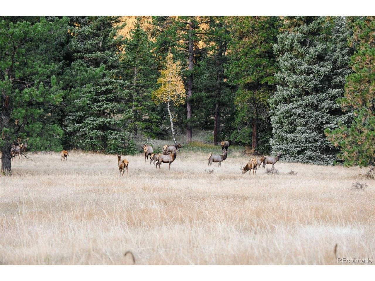 Address not disclosed, Evergreen, CO 80439