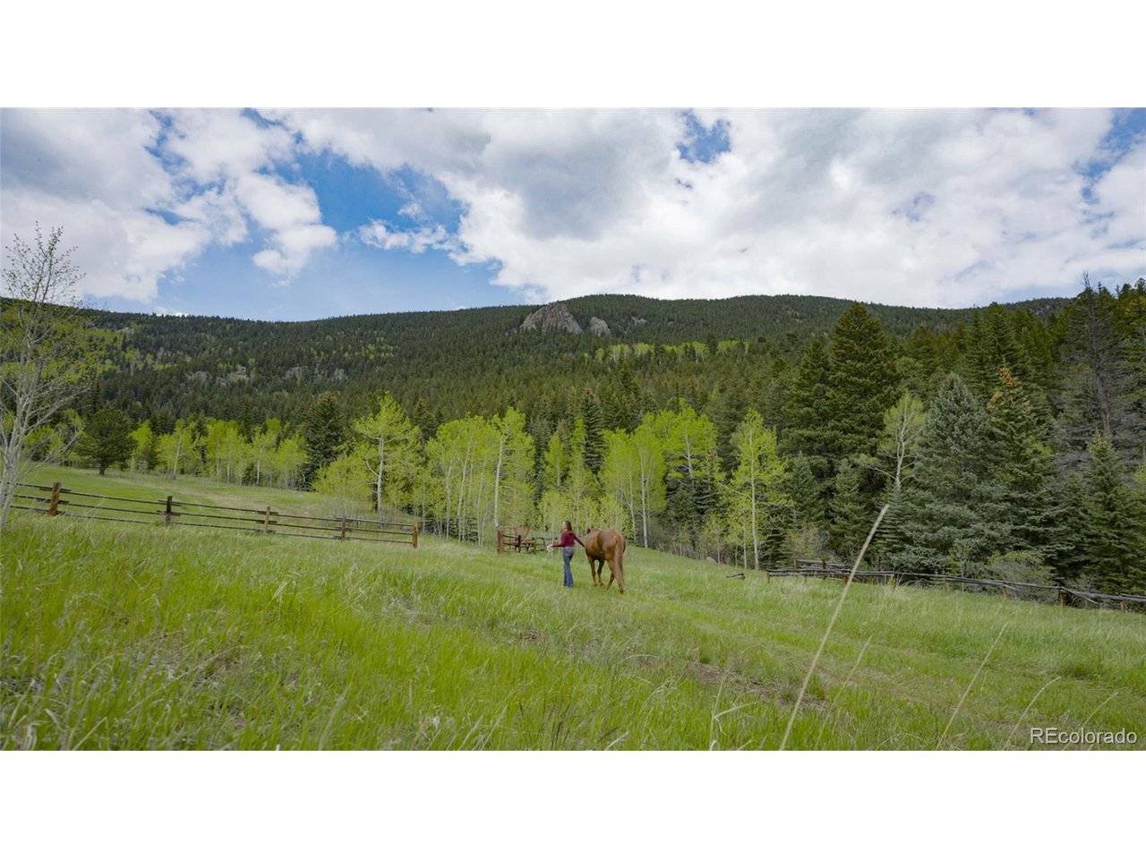 Address not disclosed, Evergreen, CO 80439