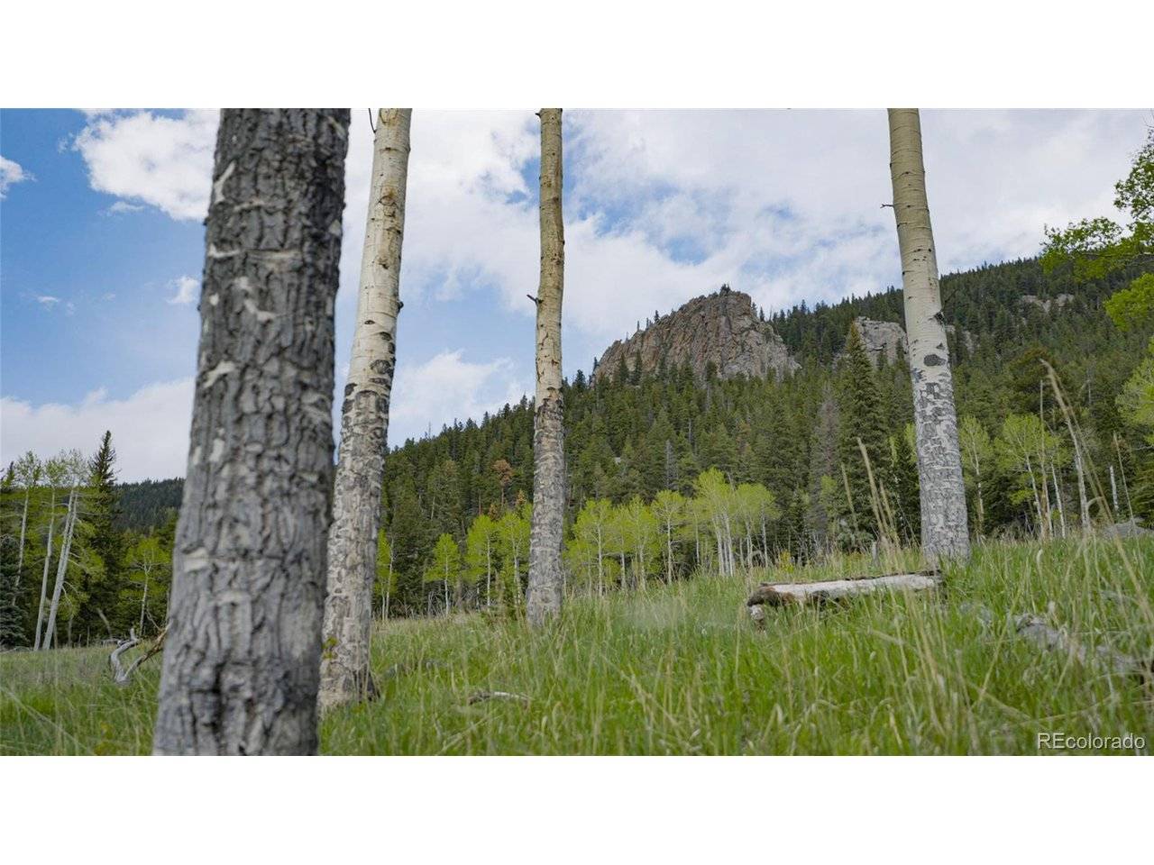 Address not disclosed, Evergreen, CO 80439