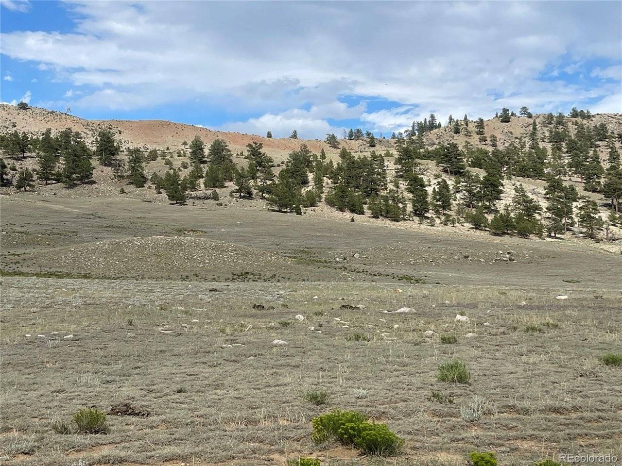 Address not disclosed, Hartsel, CO 80449