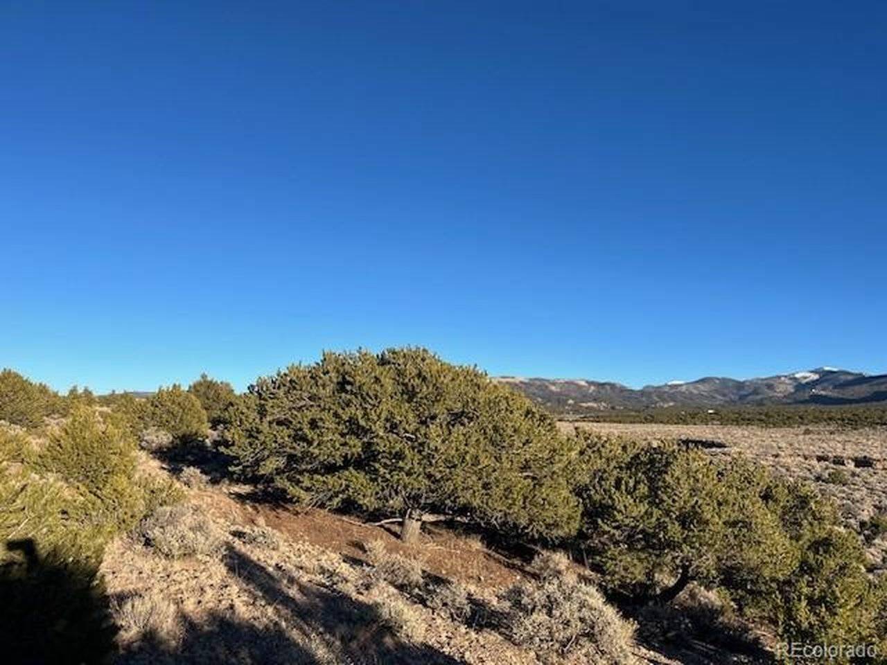 1018 Leonard, Fort Garland, CO 81133