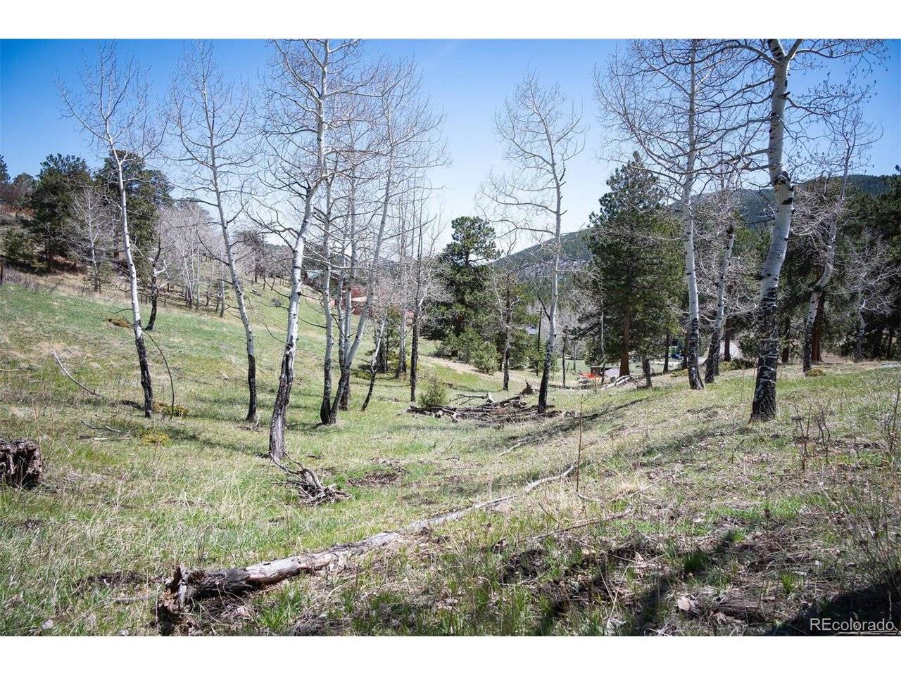 TBD Pine Valley, Evergreen, CO 80439