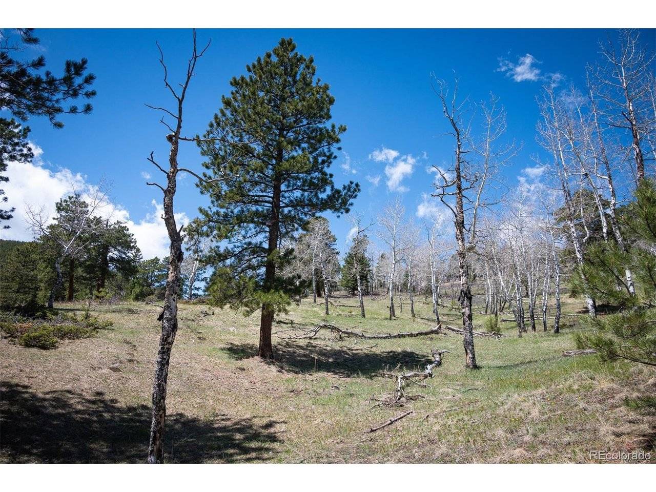 TBD Pine Valley, Evergreen, CO 80439