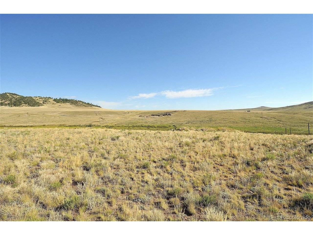 1245 Badger Creek, Hartsel, CO 80449