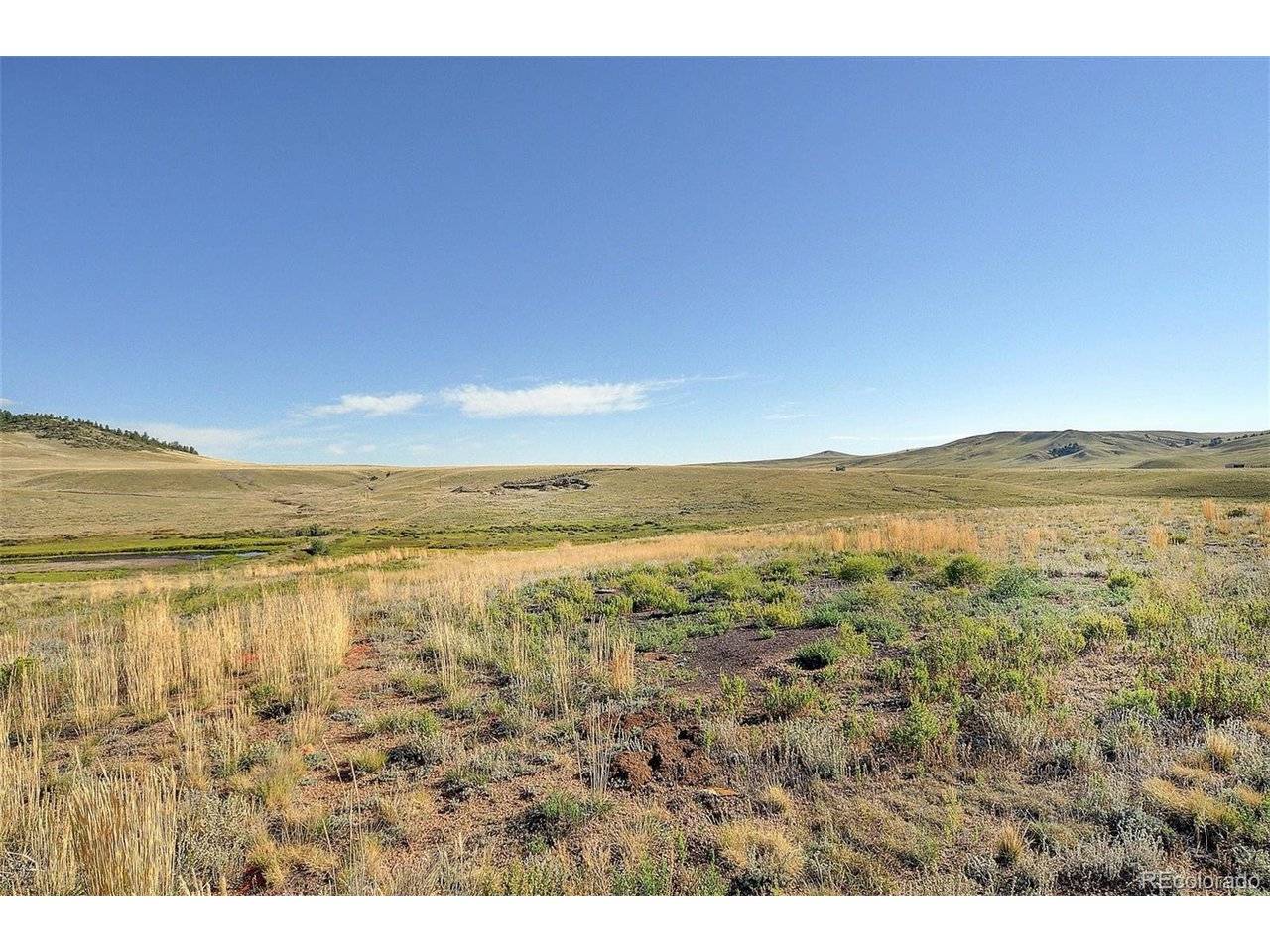 1245 Badger Creek, Hartsel, CO 80449