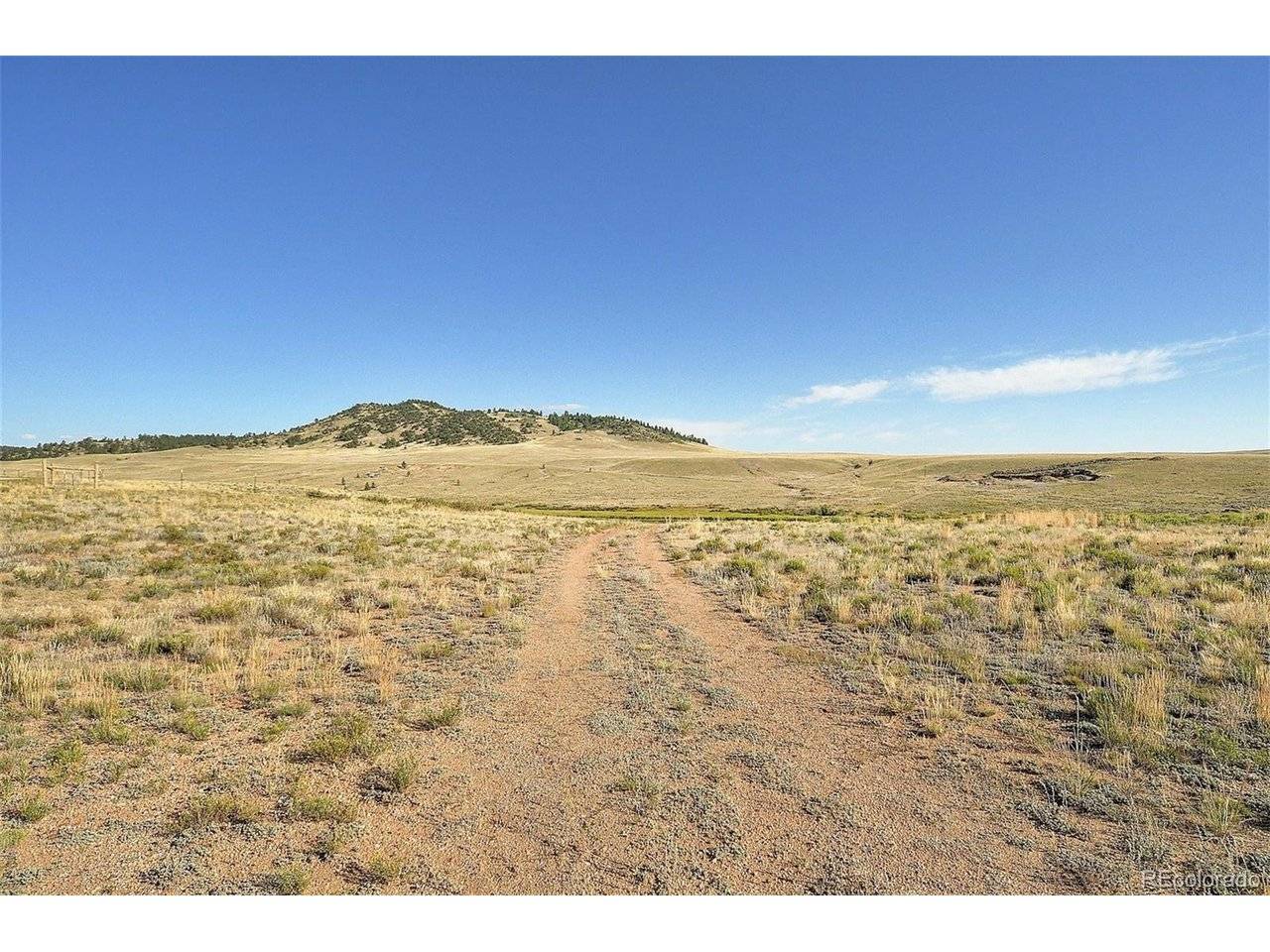 1245 Badger Creek, Hartsel, CO 80449