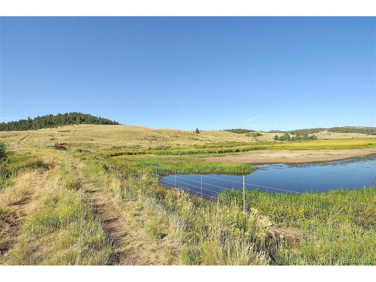 1245 Badger Creek, Hartsel, CO 80449