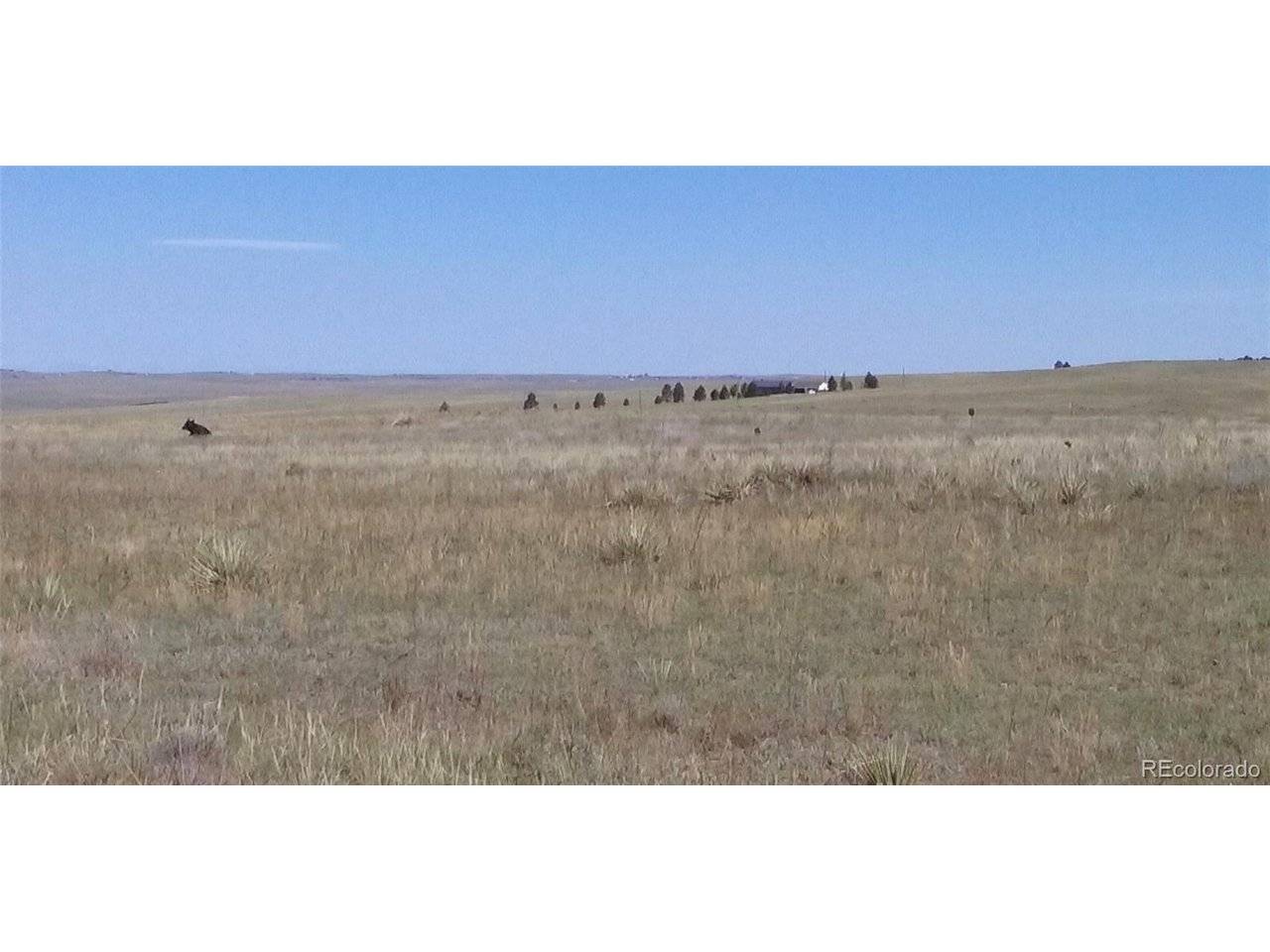 12115 St Hwy 86, Kiowa, CO 80117