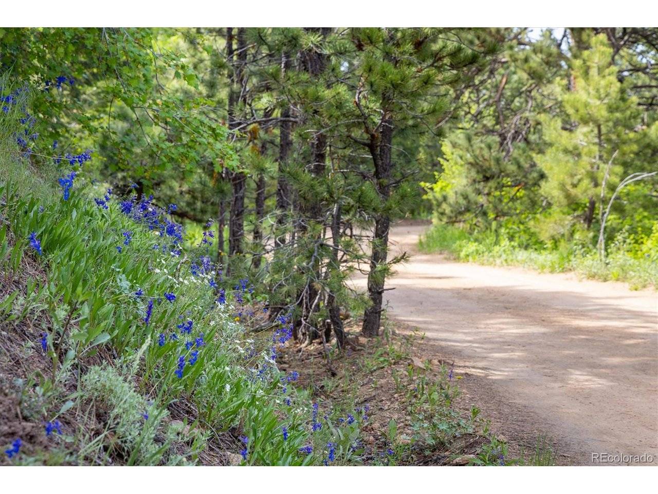 1546 Chute, Golden, CO 80403