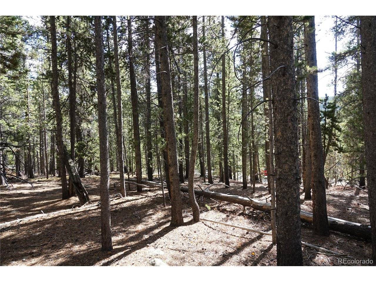 Address not disclosed, Idaho Springs, CO 80452