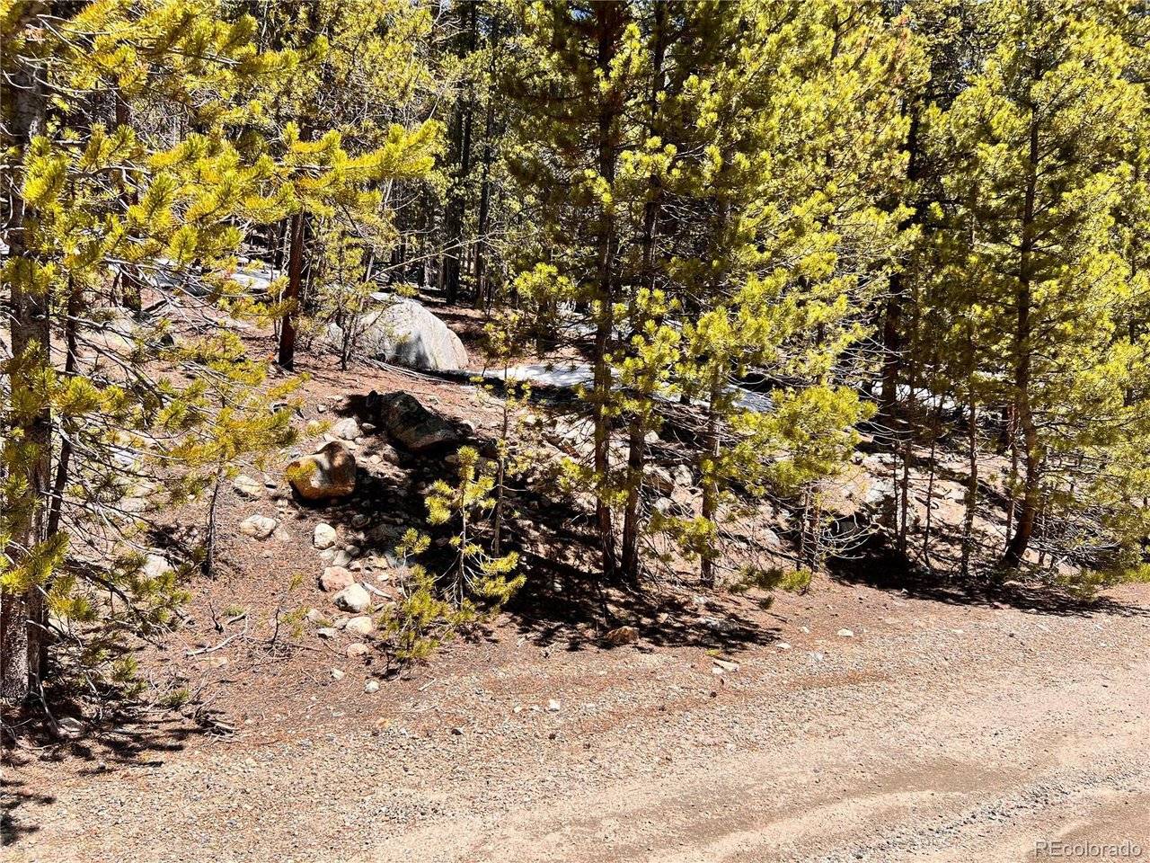 Address not disclosed, Idaho Springs, CO 80452