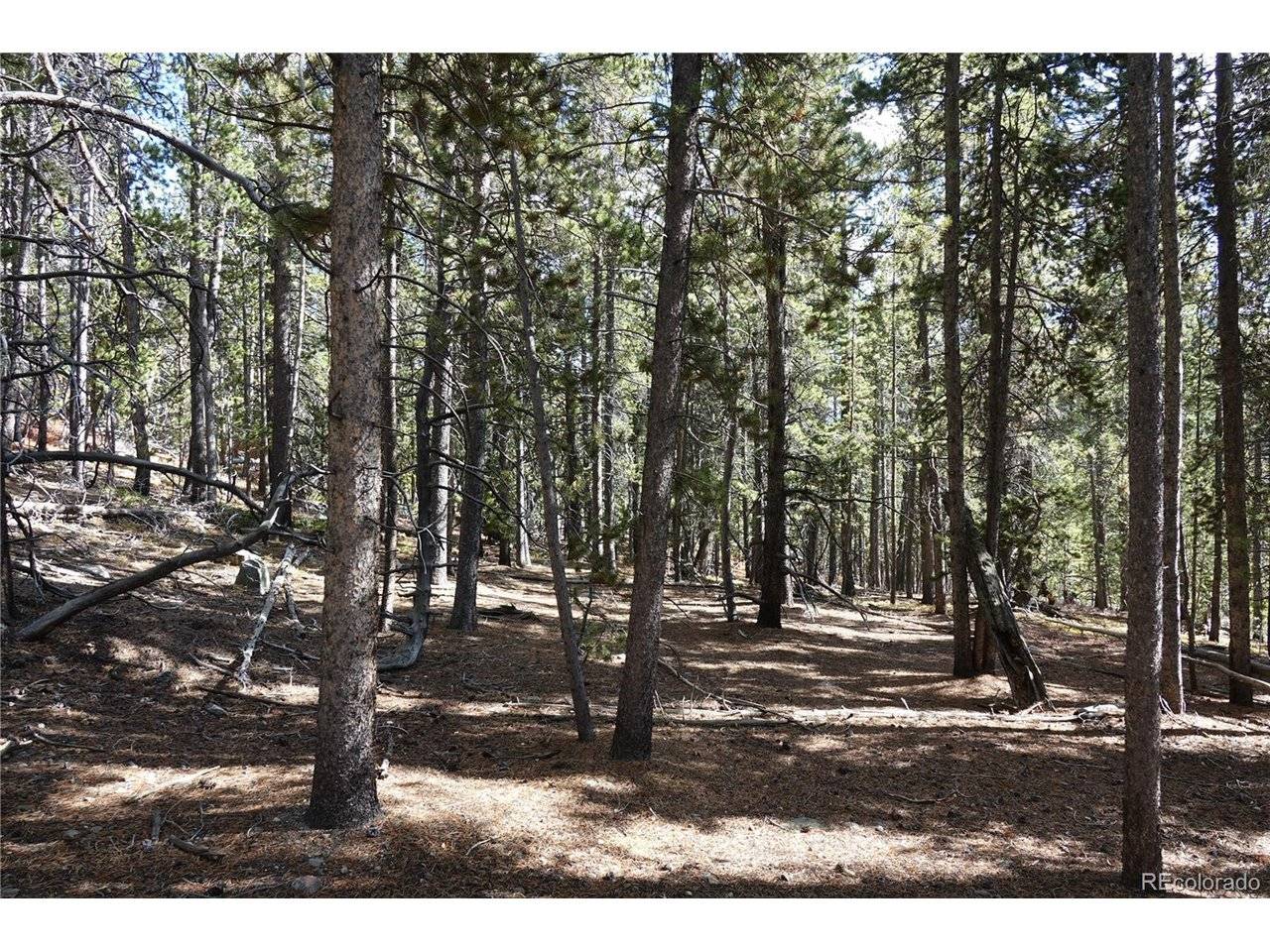 Address not disclosed, Idaho Springs, CO 80452