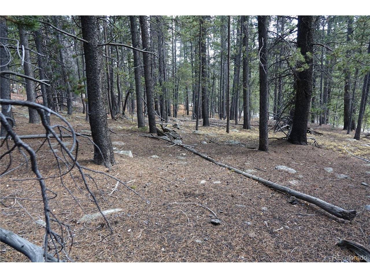 Address not disclosed, Idaho Springs, CO 80452