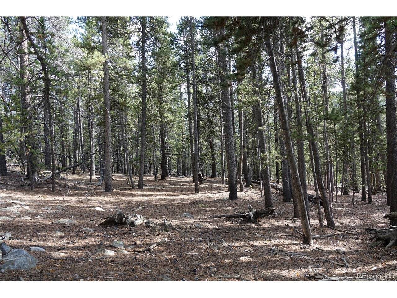 Address not disclosed, Idaho Springs, CO 80452