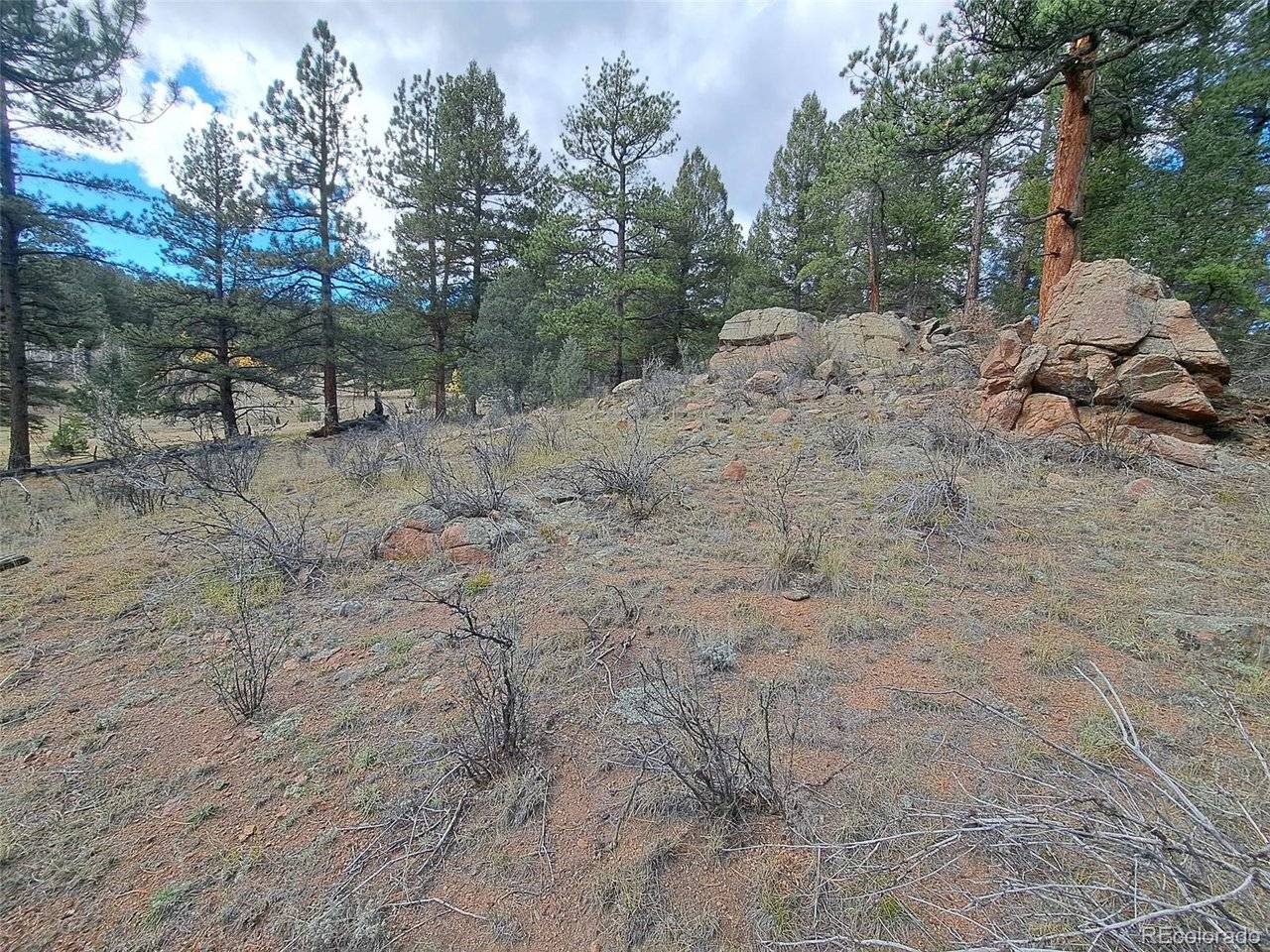 1077 Roland, Bailey, CO 80421