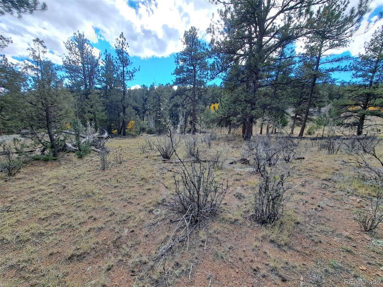 1077 Roland, Bailey, CO 80421
