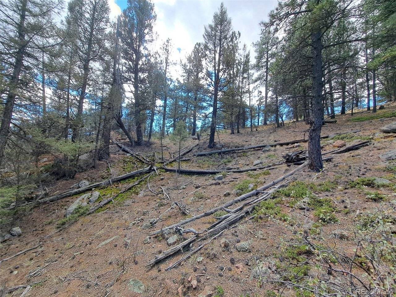 1077 Roland, Bailey, CO 80421
