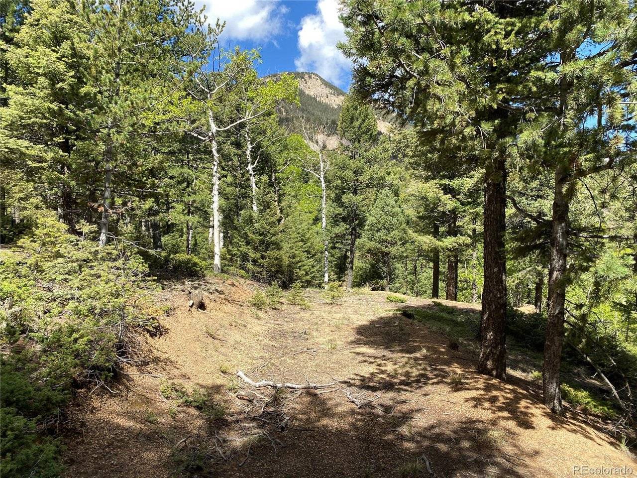 210 Waterfall, Manitou Springs, CO 80829