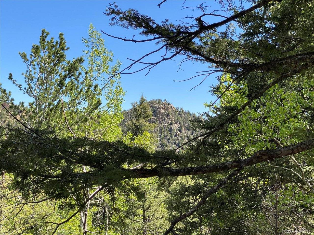 210 Waterfall, Manitou Springs, CO 80829