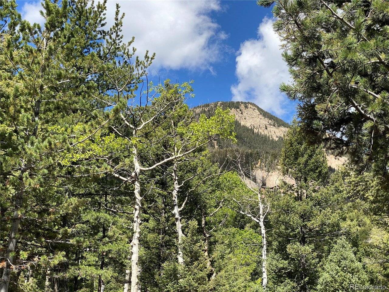 210 Waterfall, Manitou Springs, CO 80829