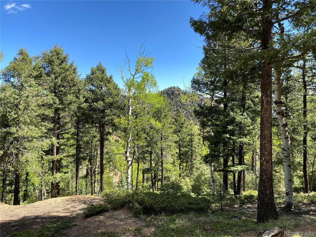 210 Waterfall, Manitou Springs, CO 80829