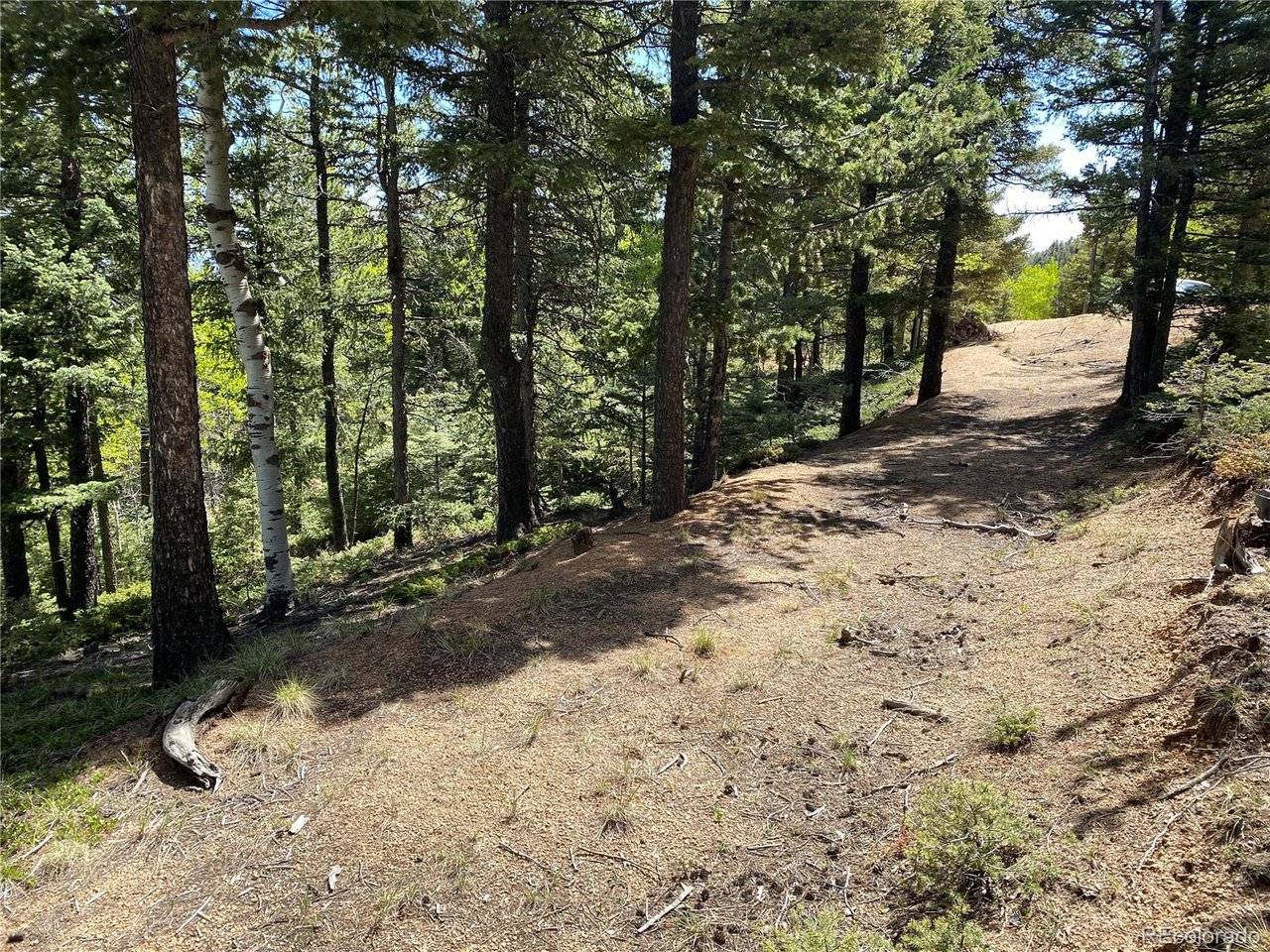 210 Waterfall, Manitou Springs, CO 80829