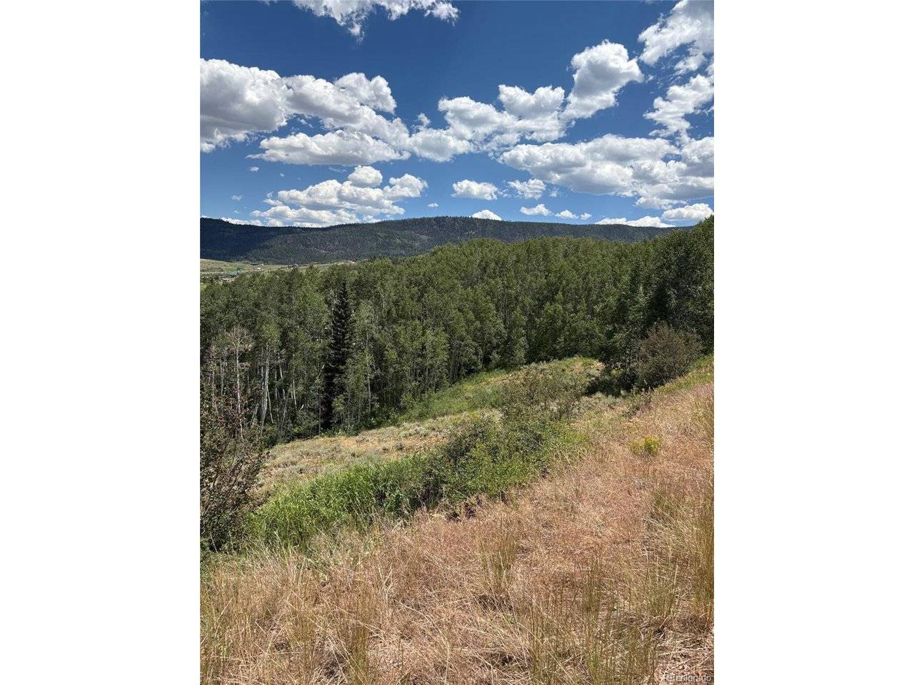 1874 GCR 162, Kremmling, CO 80459