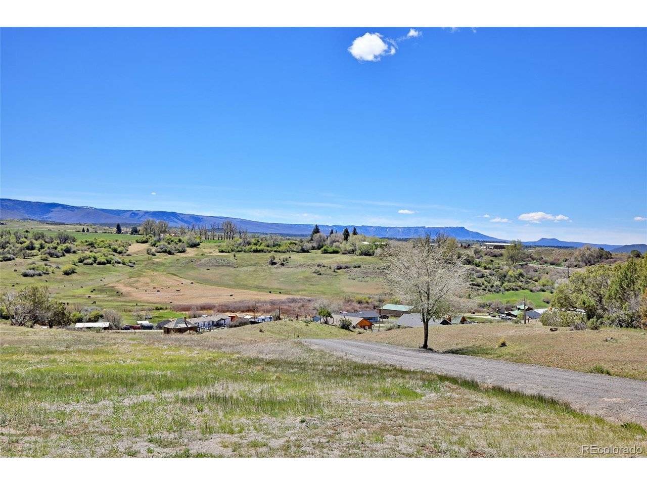 58798 Delores, Collbran, CO 81624