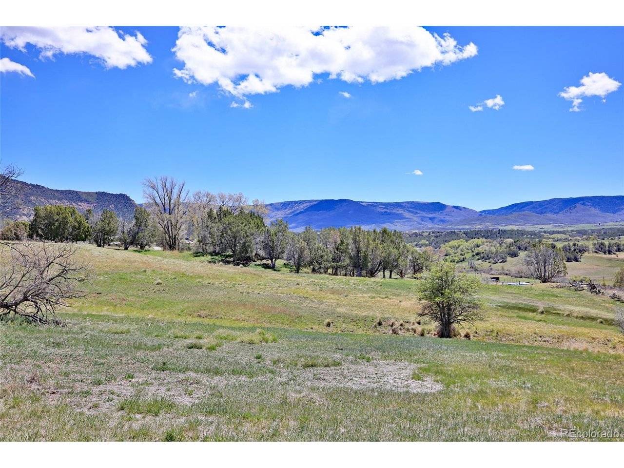 58798 Delores, Collbran, CO 81624