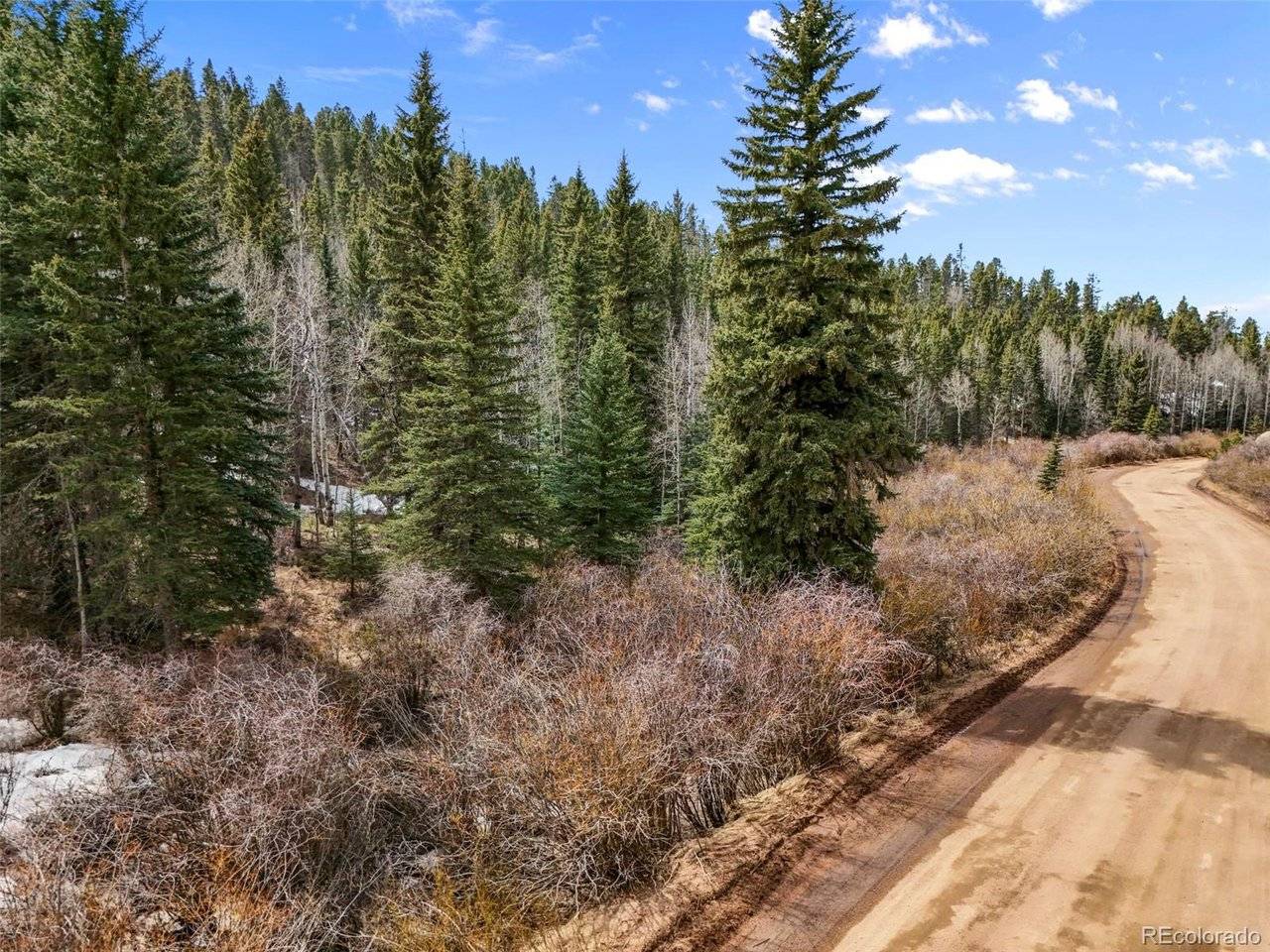 464 E Bison Creek, Florissant, CO 80816