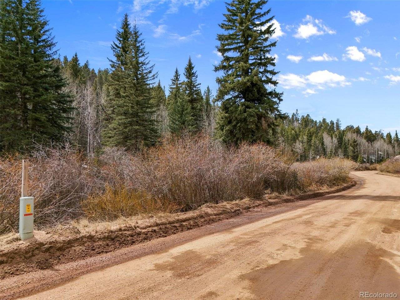464 E Bison Creek, Florissant, CO 80816