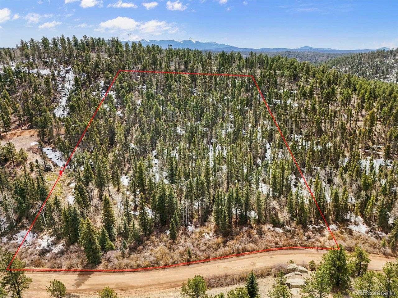 464 E Bison Creek, Florissant, CO 80816