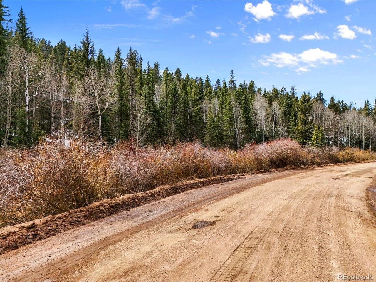 464 E Bison Creek, Florissant, CO 80816